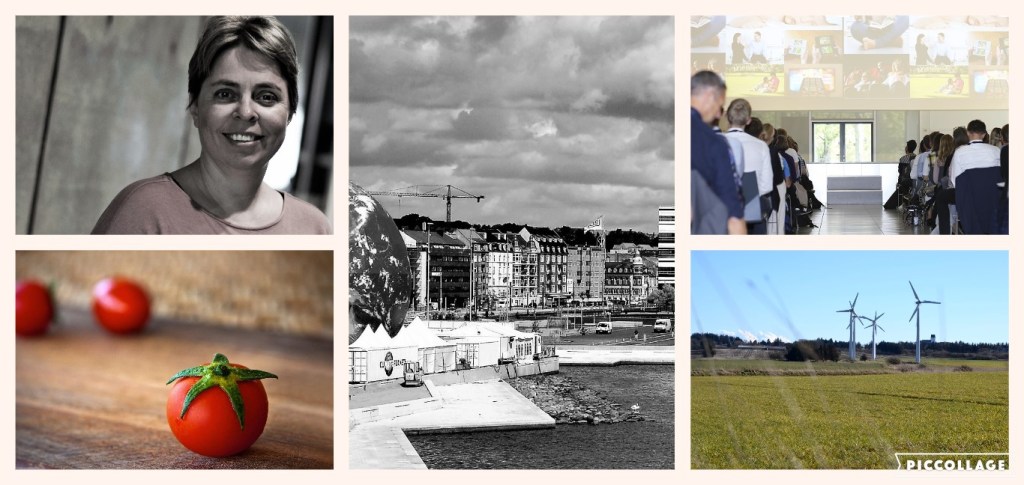 Collage 2018-01-08 12_26_28