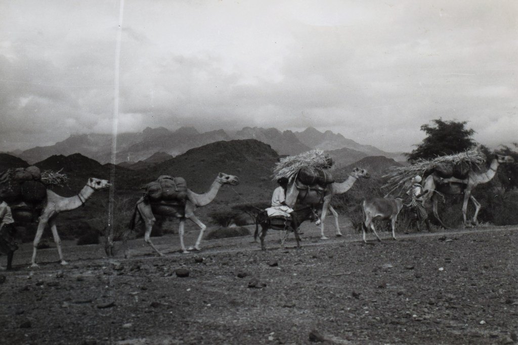 Da soldaten blev&nbsp;kidnappet